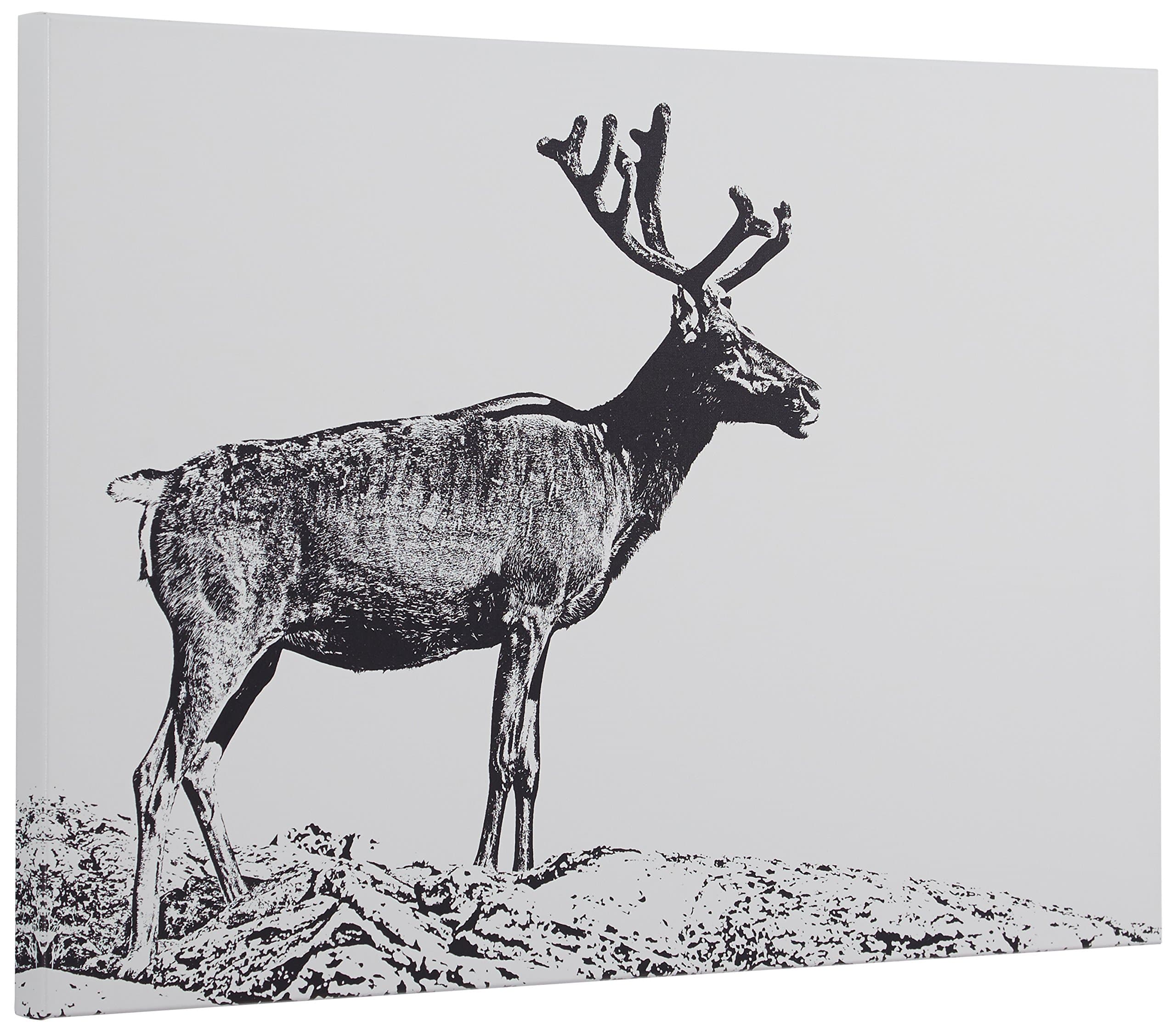 Amazon Brand – Rivet Black and White Canvas Print of Male Deer, 15" x 10"