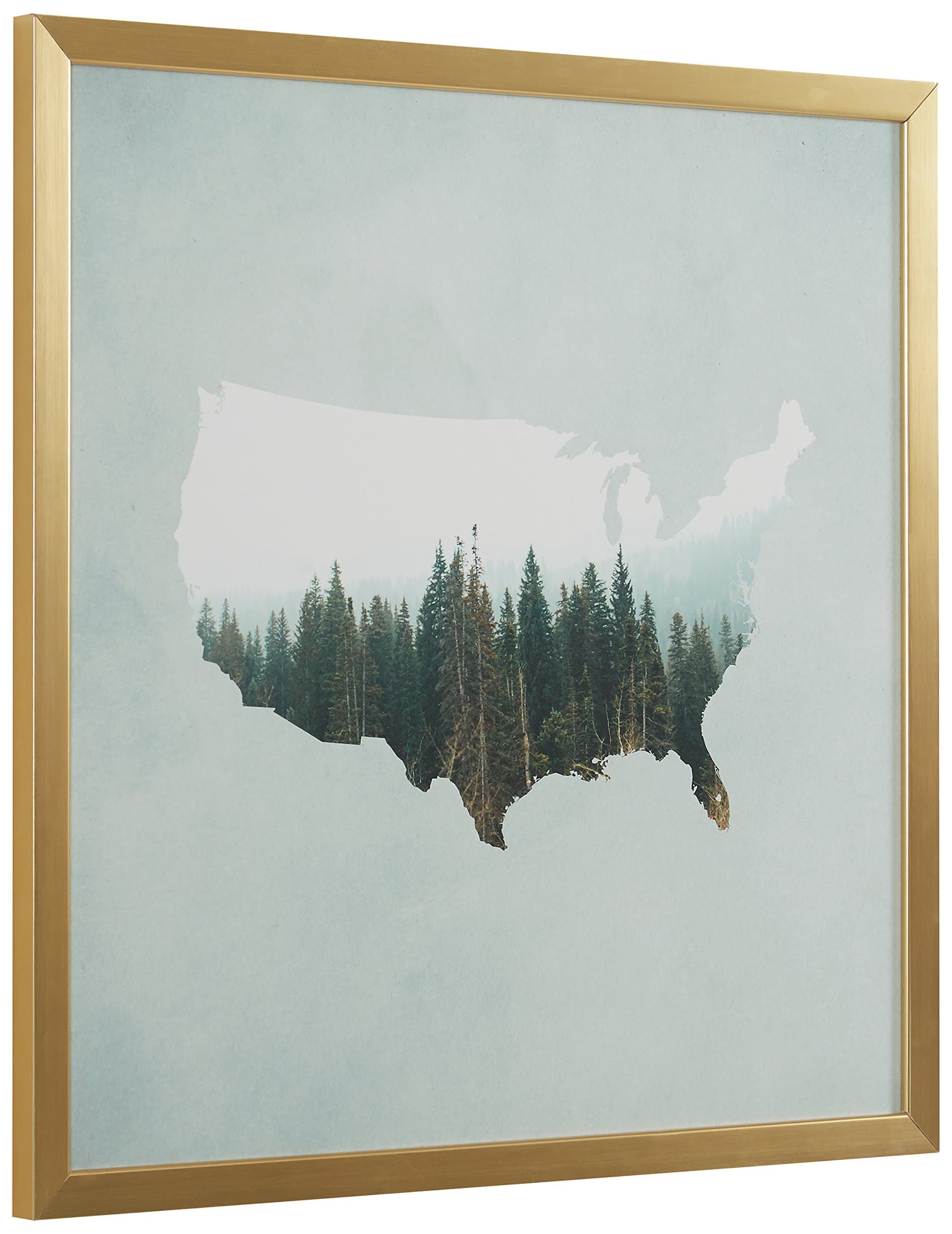 Amazon Brand – Rivet American Forest Map Wall Art Print in Gold Wood Frame, 20" x 20"