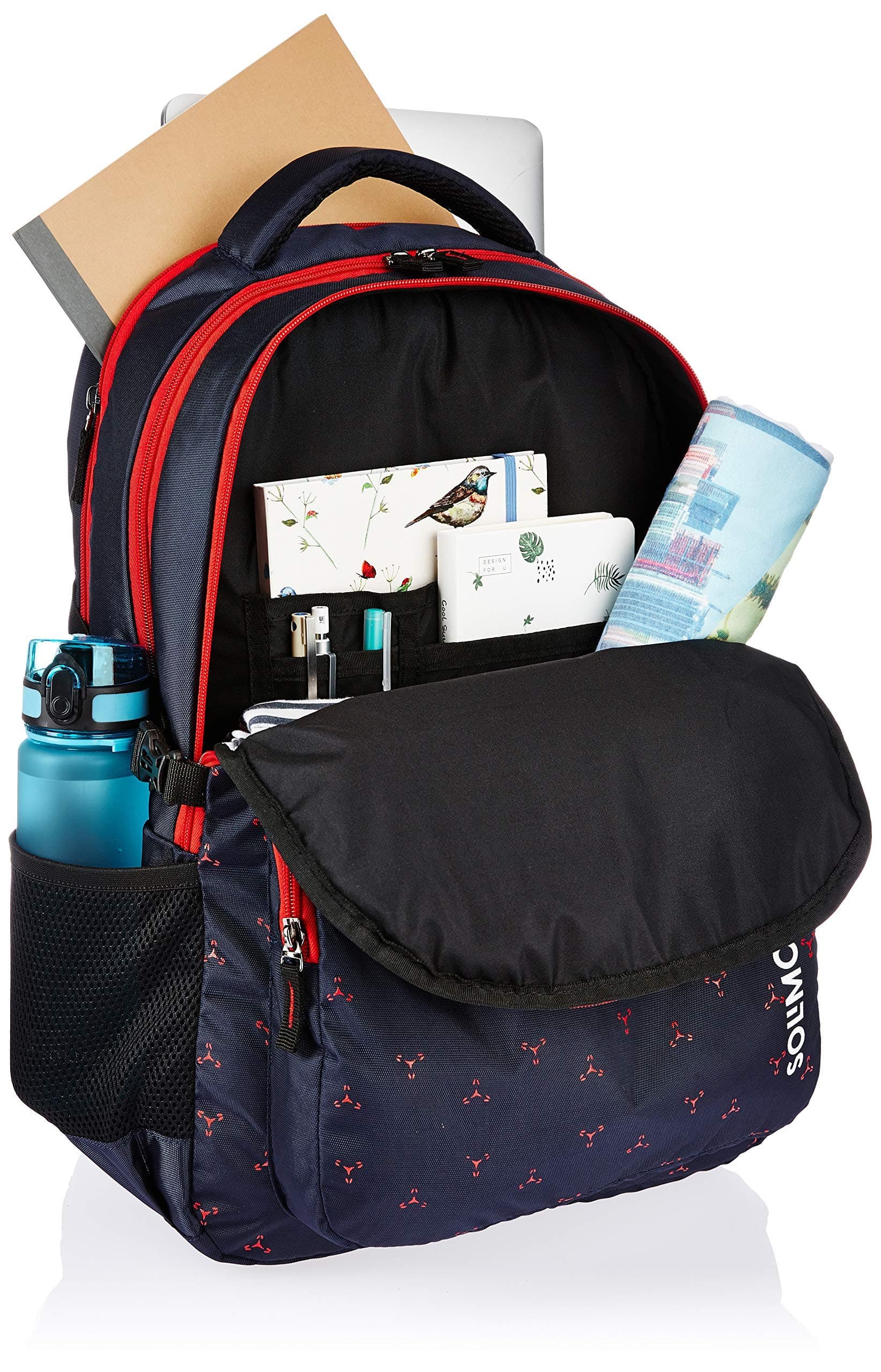 Amazon Brand - Solimo Vogue School Backpack (40 litres, Blue)