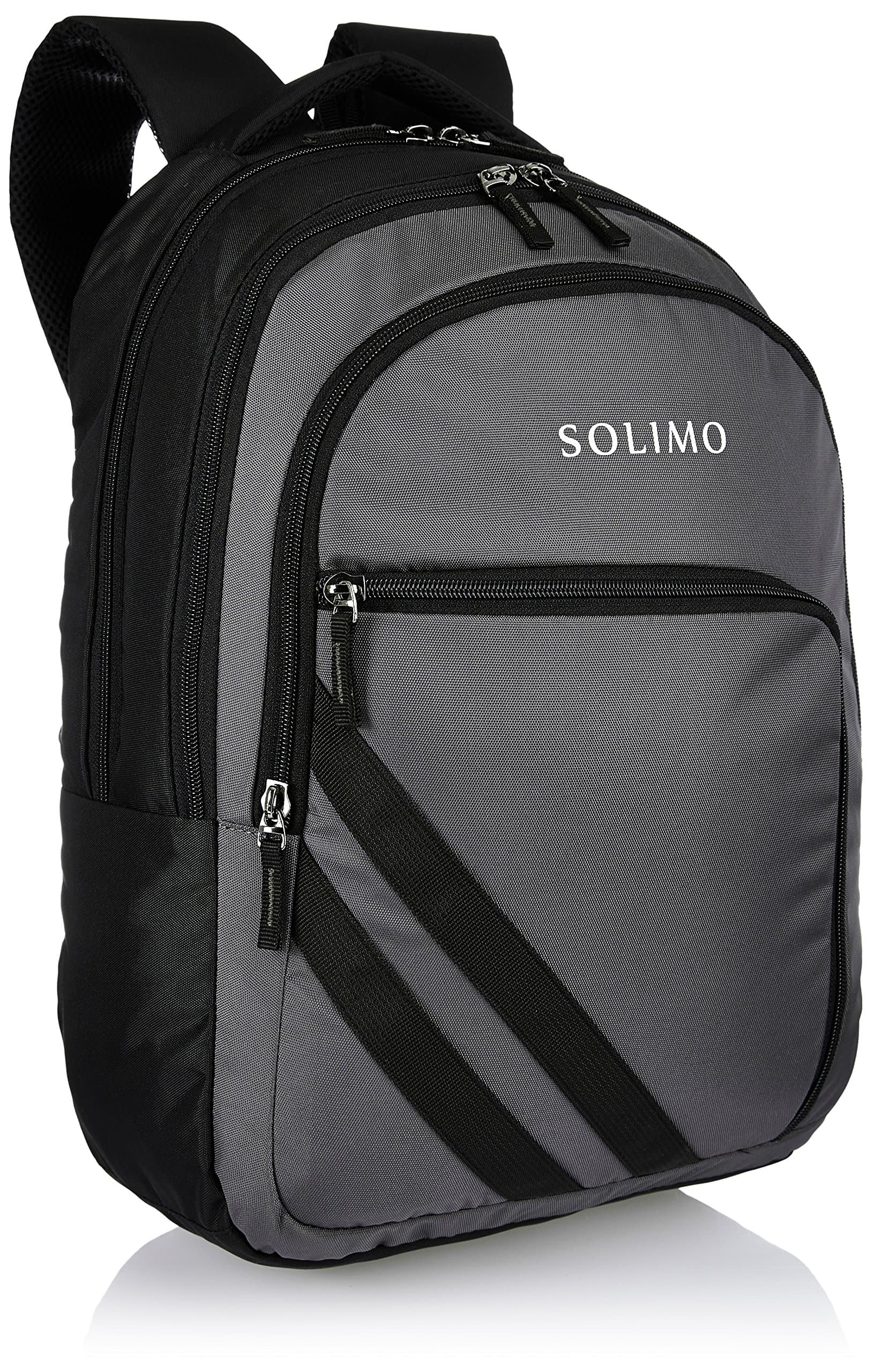 Amazon Brand - Solimo Travel Backpack (29 litres, Metallic Grey & Coal Black)