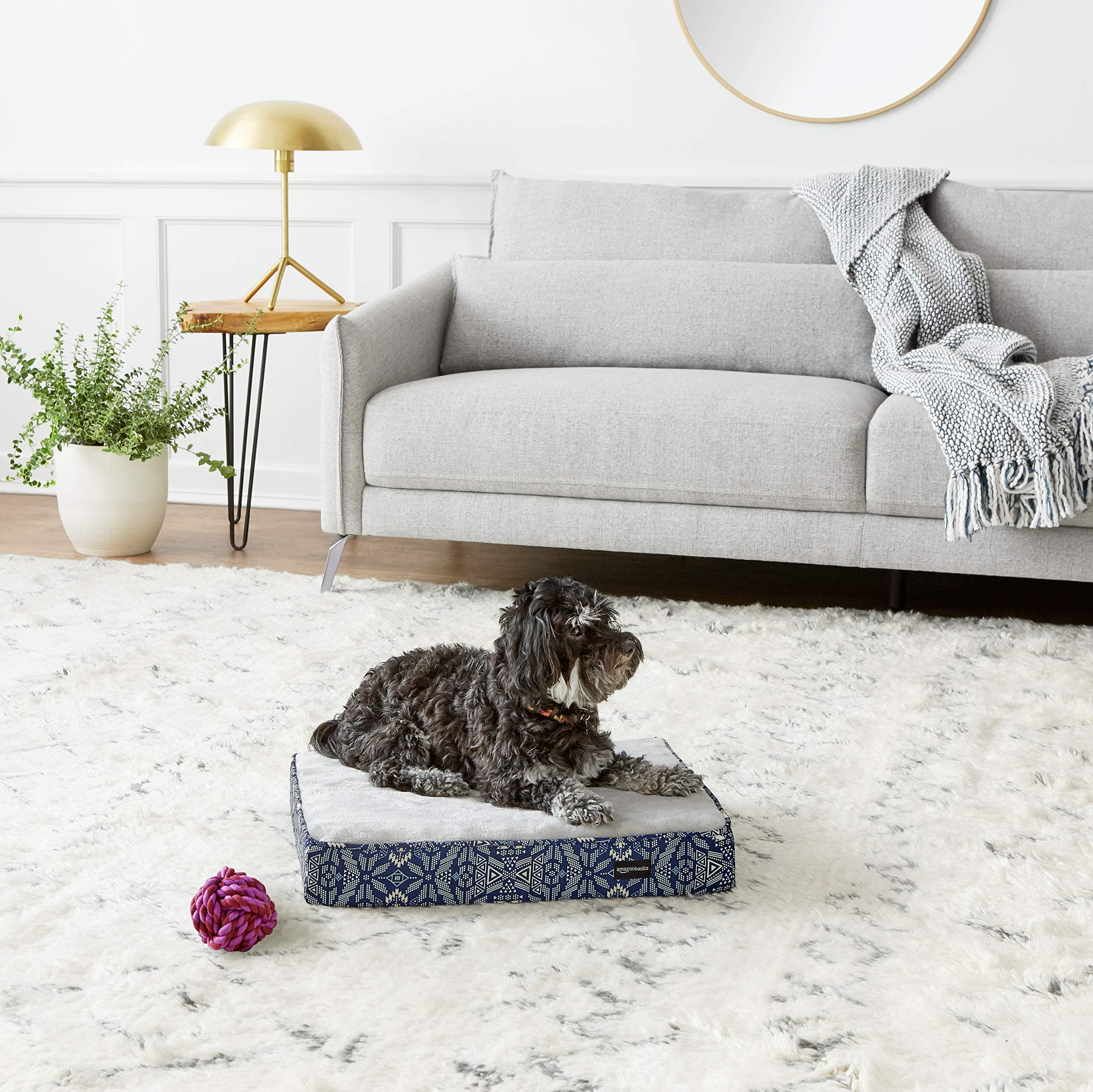 AmazonBasics Foam Pet Bed, Small