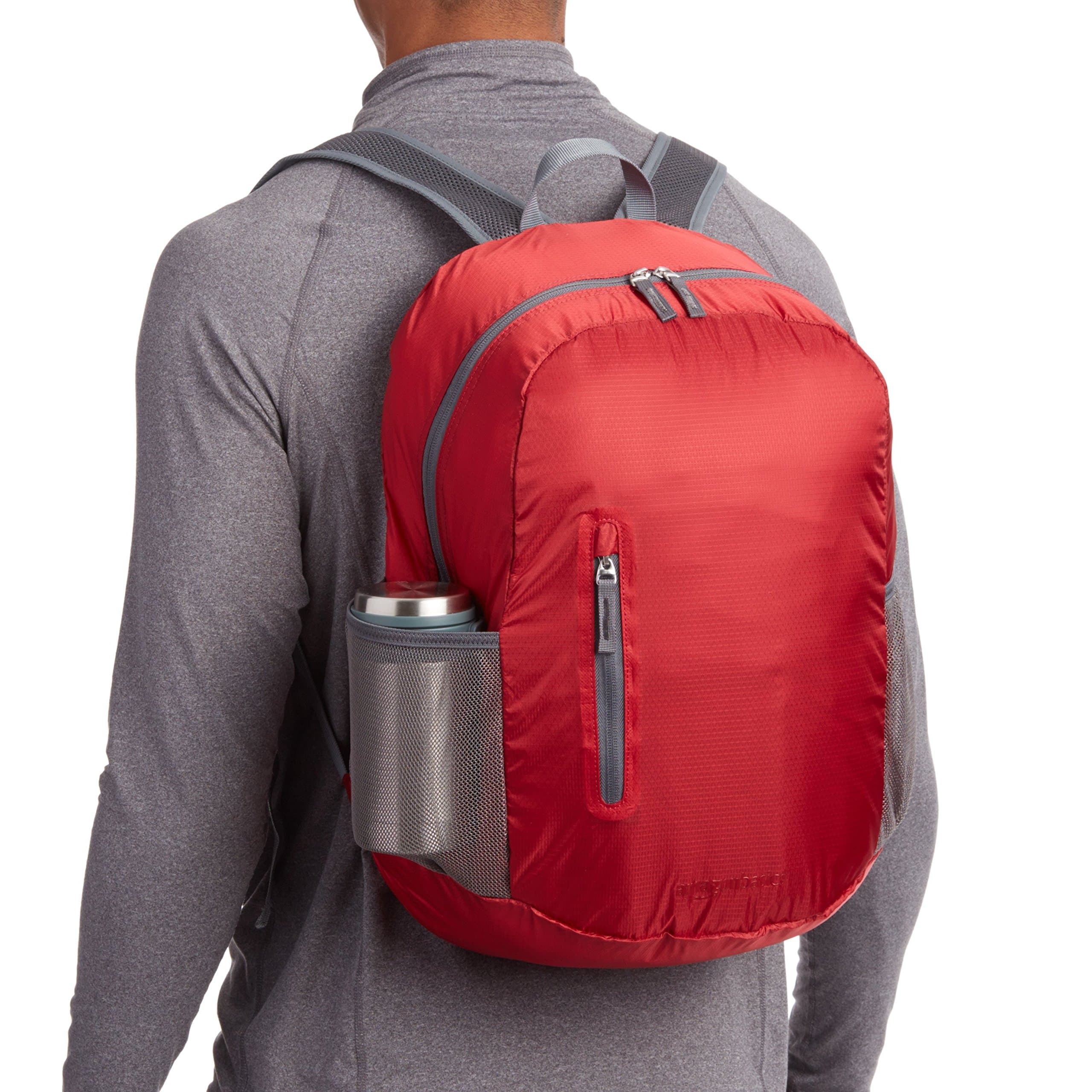 AmazonBasics Lightweight Packable Hiking Travel Day Pack Backpack - 17.5 x 17.5 x 11.5 Inches, 25 Liter